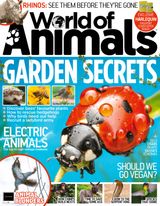 Issue 59