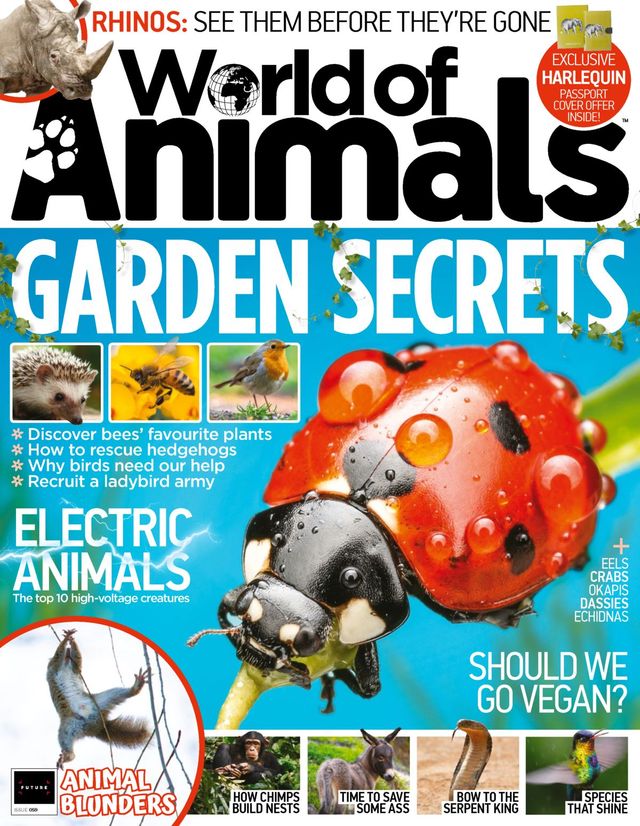 World of Animals UK
