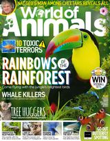 Issue 60