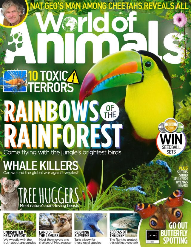 Go Unlimited with Magzter GOLD