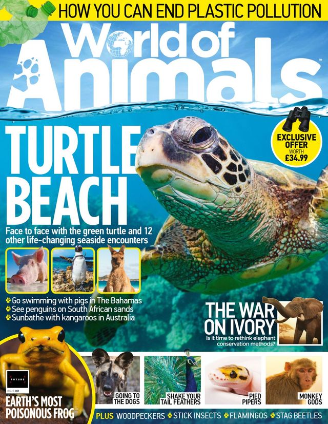 World of Animals UK