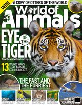 Issue 63