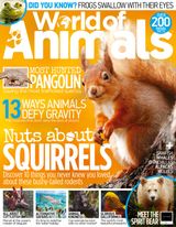 Issue 64