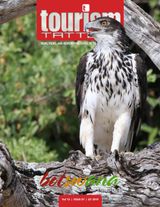 Issue 1, 2019