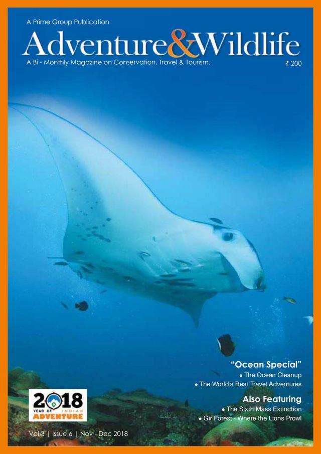 Go Unlimited with Magzter GOLD