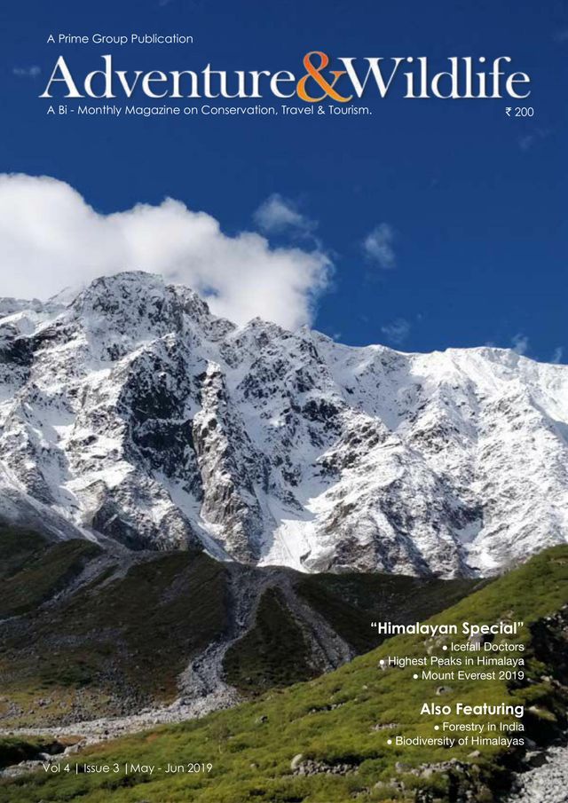 Go Unlimited with Magzter GOLD