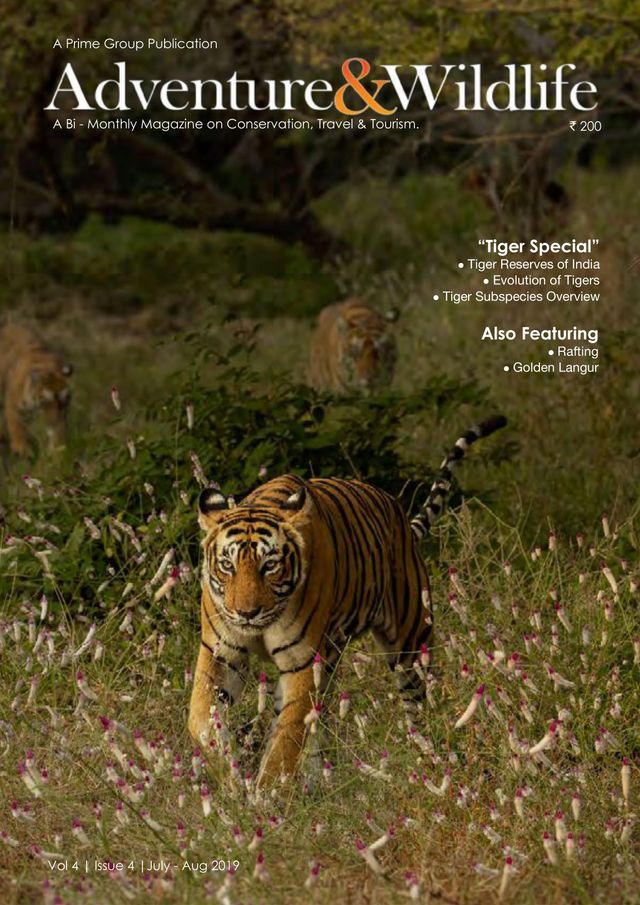 Go Unlimited with Magzter GOLD