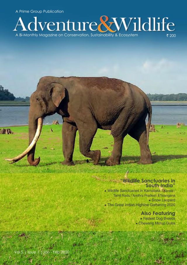 Go Unlimited with Magzter GOLD