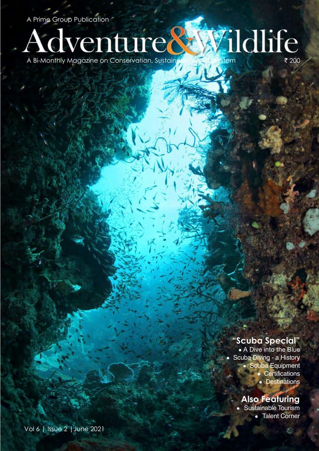 Adventure & Wildlife