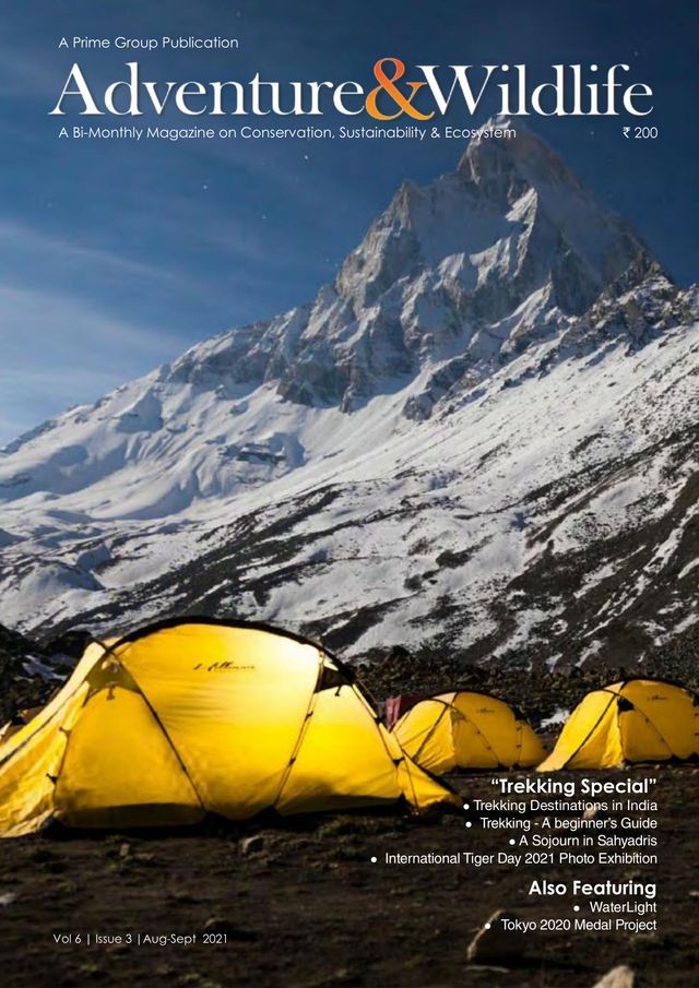 Go Unlimited with Magzter GOLD