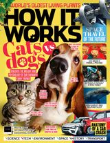 Issue 177