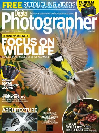 Digital Photographer