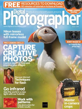 Digital Photographer