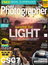 Issue 231