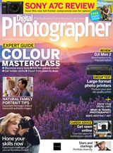 Issue 238