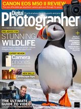 Issue 239