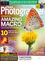 Issue 240
