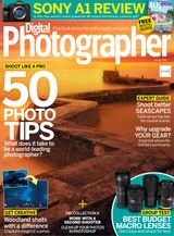 Issue 242