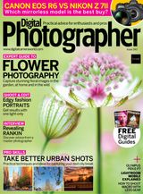 Issue 243