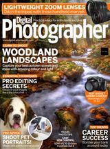 Issue 258