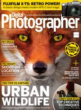 Issue 263