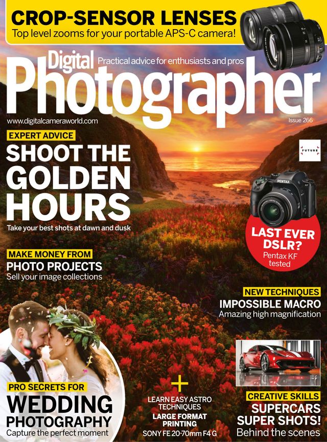 Digital Photographer