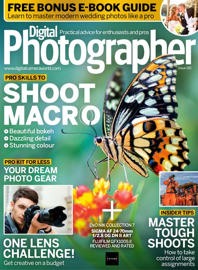 Digital Photographer