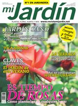 Mayo 2017 - Issue 268