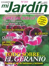 Julio 2017 - Issue 269