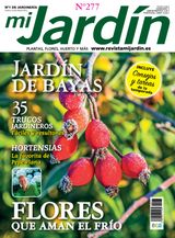 Noviembre - Diciembre 2018