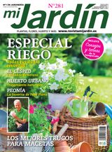 Julio- agosto  2019