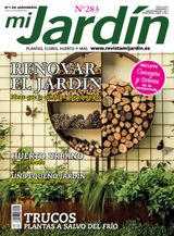 Noviembre - Diciembre 2019