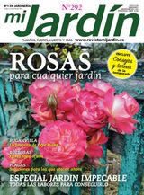Mayo - Junio 2021