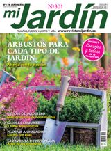 Noviembre - Diciembre 2022