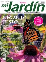 Julio-Agosto 2024