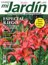 Julio-Agosto 2026