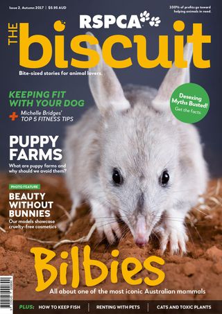 Get your digital copy of The Biscuit - Pet and Animal Magazine-Autumn 2017 issue Get your digital copy of The Biscuit - Pet and Animal Magazine-Autumn 2017 issue