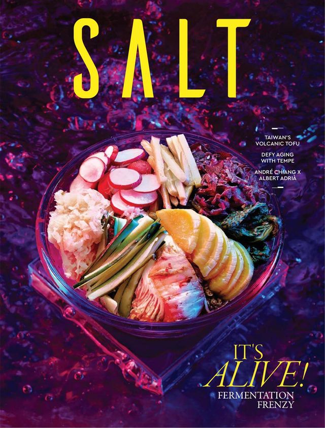 SALT - A Pinch Of Good Taste