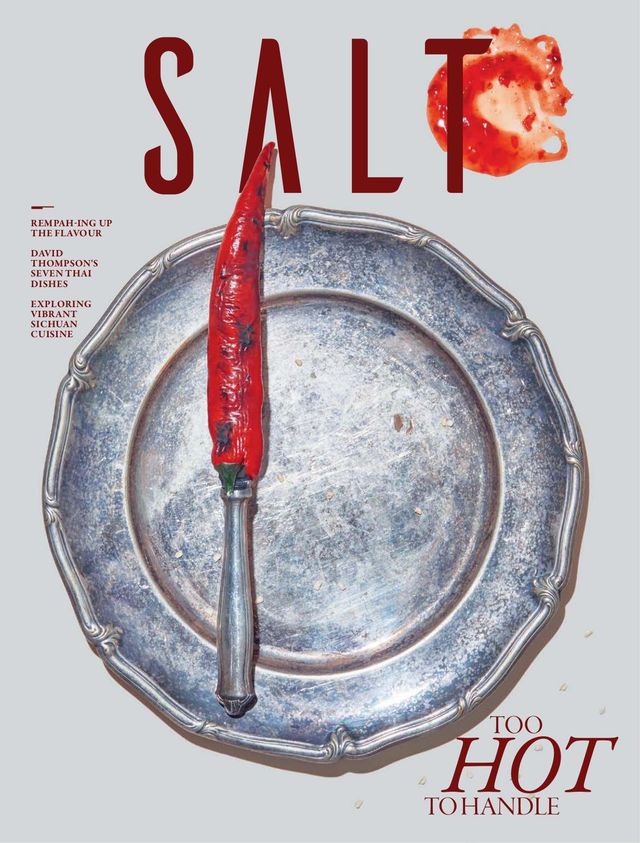 SALT - A Pinch Of Good Taste