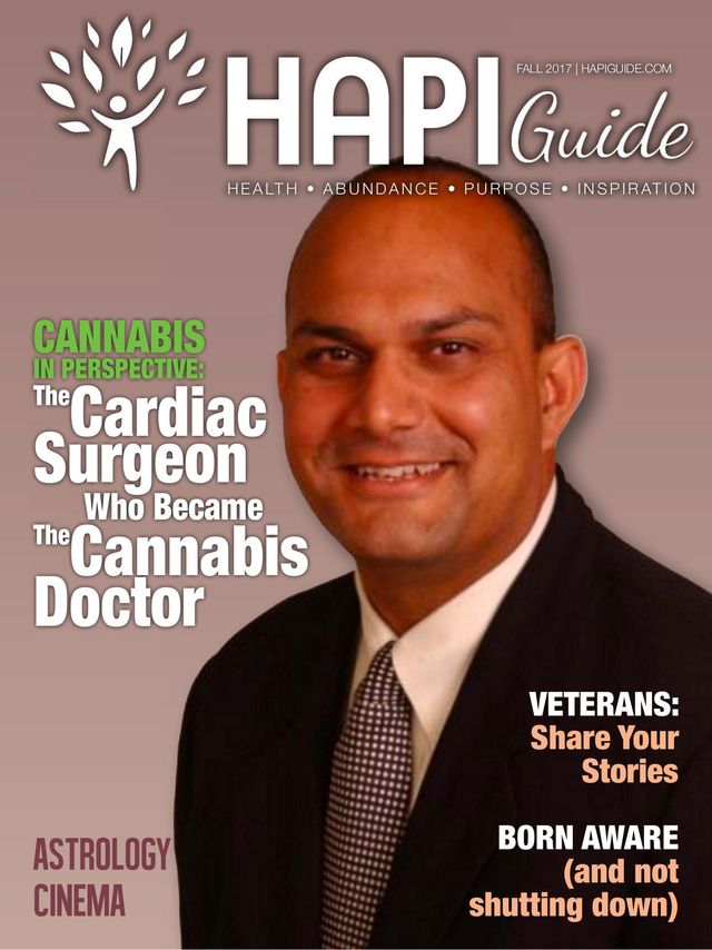 HAPI Guide