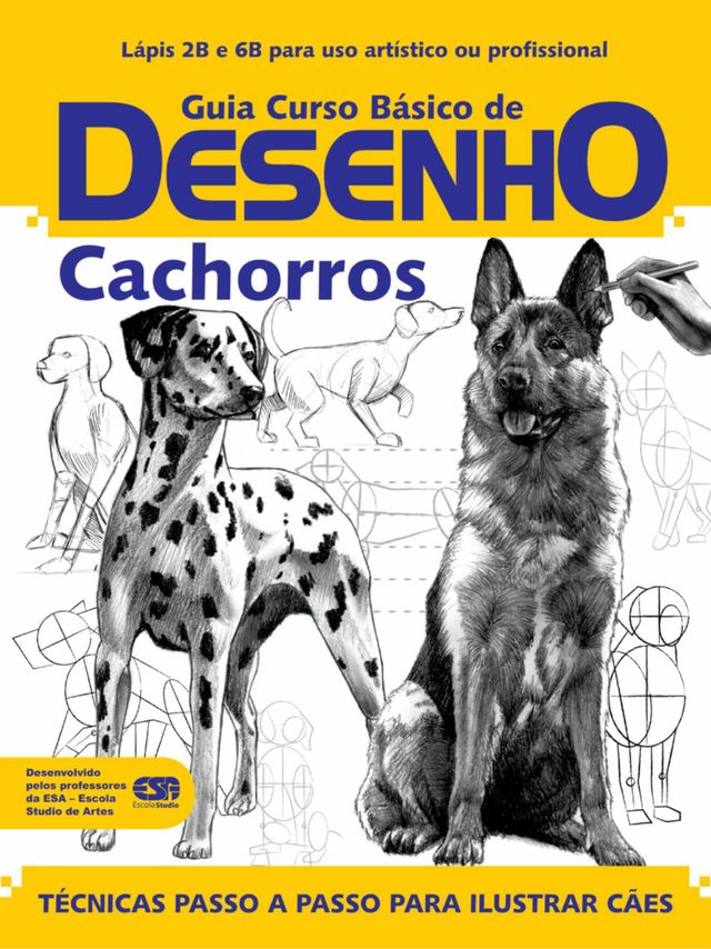Curso Básico de Desenho