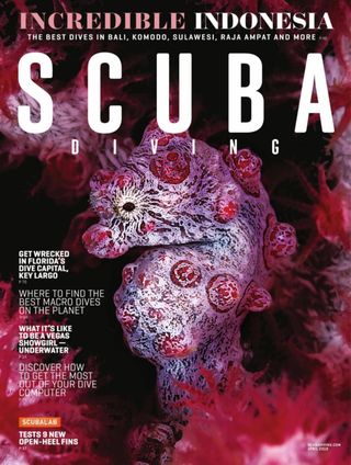 Scuba Diving - September/October 2020 Scuba Diving Cover - September/October 2020 Edition