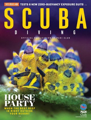 Scuba Diving Magazine - September/October 2020 Scuba Diving Magazine Cover - September/October 2020 Edition