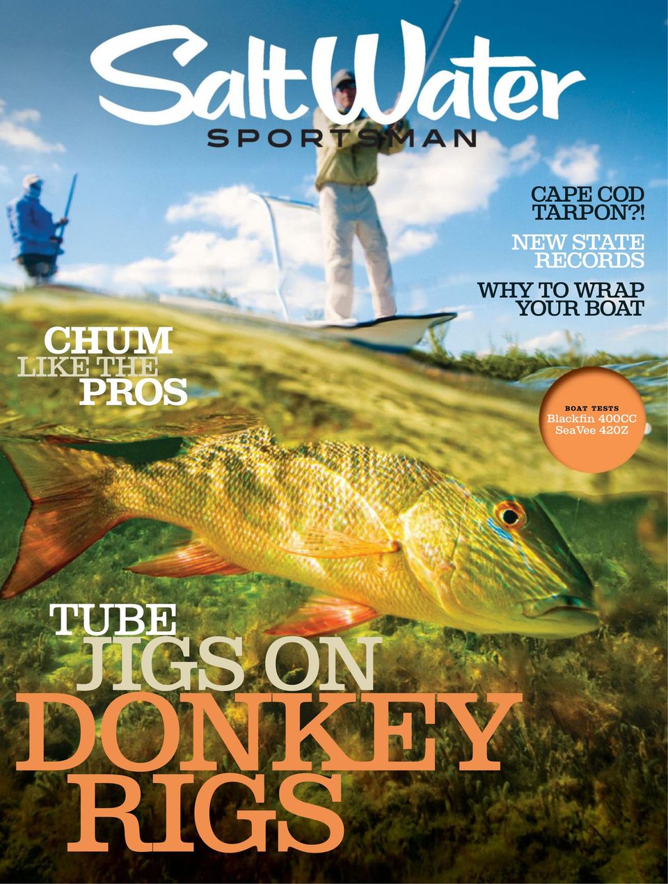 Salt Water Sportsman (9 Issues)