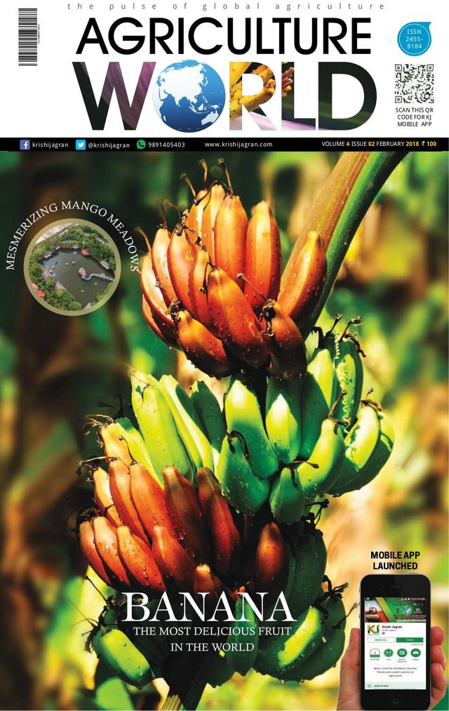 AGRICULTURE WORLD