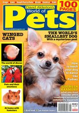 Issue 2