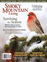 December/January 2015