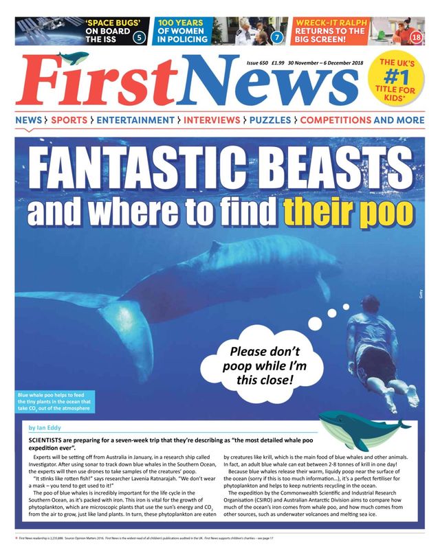 First News