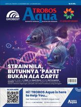 Edisi 163