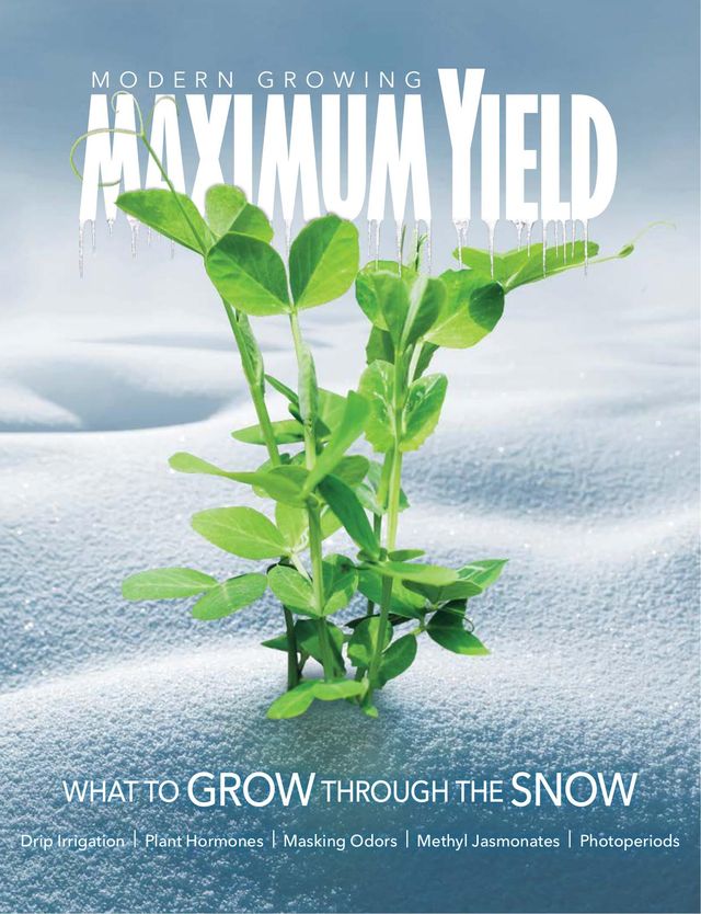 Maximum Yield Modern Growing USA